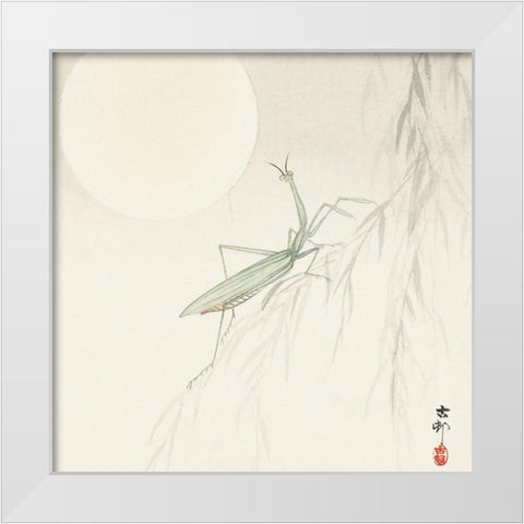 Praying mantis White Modern Wood Framed Art Print by Koson, Ohara