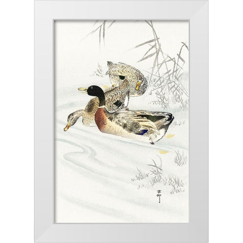 Three ducks in shallow water with reeds White Modern Wood Framed Art Print by Koson, Ohara