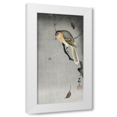 Buffalo wing shrike and spider White Modern Wood Framed Art Print by Koson, Ohara