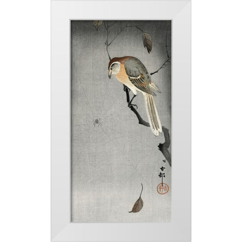 Buffalo wing shrike and spider White Modern Wood Framed Art Print by Koson, Ohara