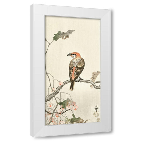 Crossbill on tree branch White Modern Wood Framed Art Print by Koson, Ohara