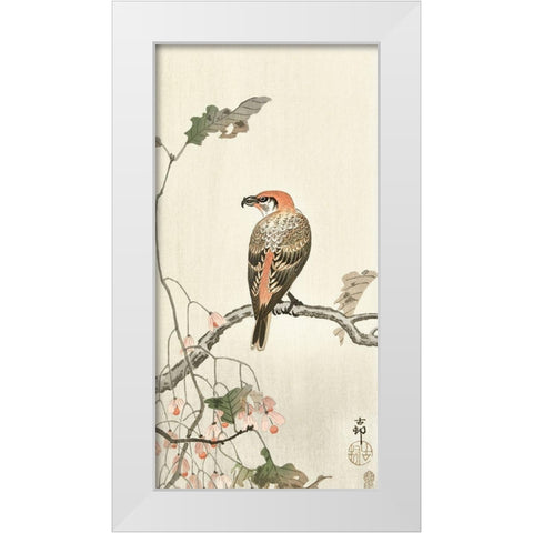Crossbill on tree branch White Modern Wood Framed Art Print by Koson, Ohara