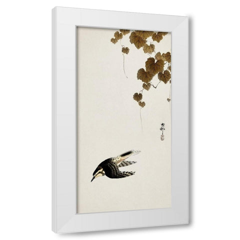 Bird in downward flight White Modern Wood Framed Art Print by Koson, Ohara