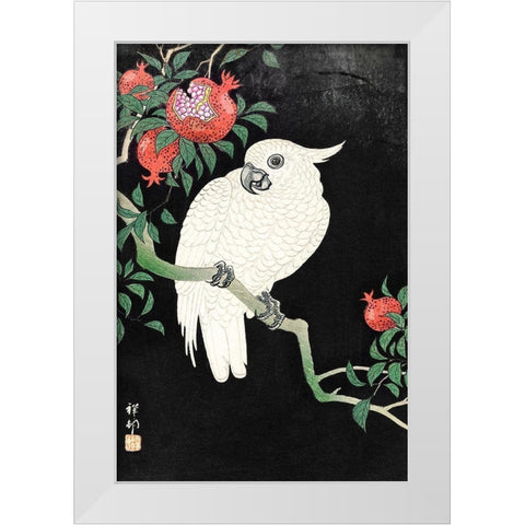 Cockatoo and Pomegranate White Modern Wood Framed Art Print by Koson, Ohara