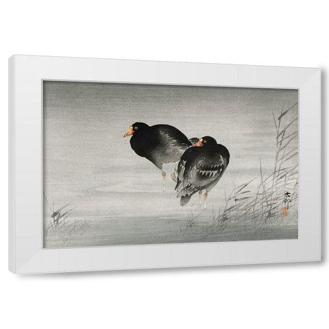 Two moorhens White Modern Wood Framed Art Print by Koson, Ohara