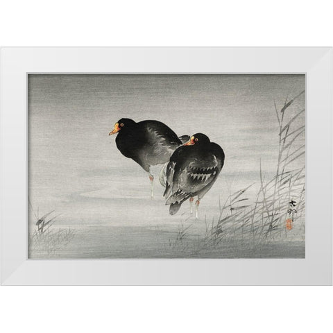 Two moorhens White Modern Wood Framed Art Print by Koson, Ohara