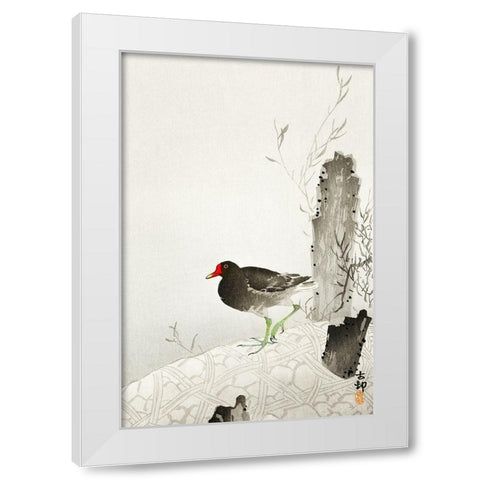 Moorhen White Modern Wood Framed Art Print by Koson, Ohara