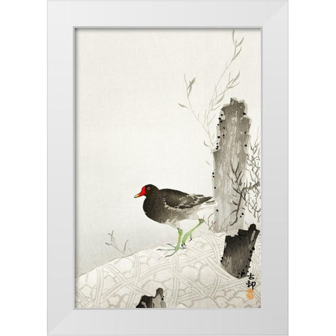 Moorhen White Modern Wood Framed Art Print by Koson, Ohara