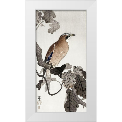 Jay on tree branch White Modern Wood Framed Art Print by Koson, Ohara