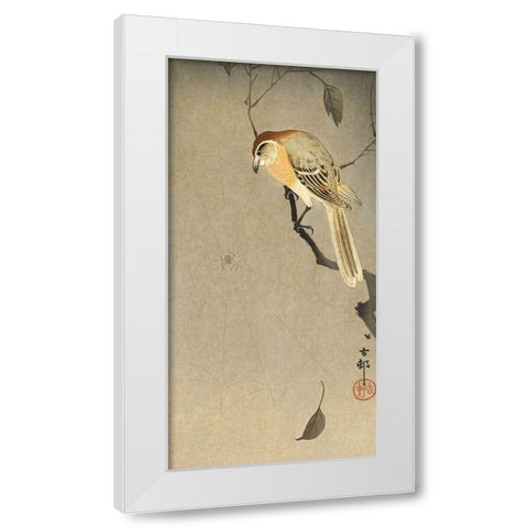 Buffalo wing shrike and spider White Modern Wood Framed Art Print by Koson, Ohara