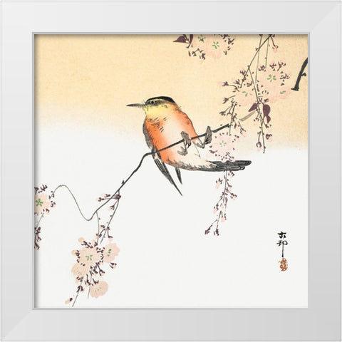 Songbird and Blossoming Cherry White Modern Wood Framed Art Print by Koson, Ohara