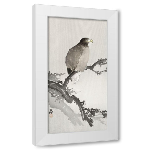 White-tailed eagle on branch White Modern Wood Framed Art Print by Koson, Ohara