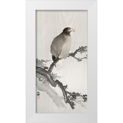 White-tailed eagle on branch White Modern Wood Framed Art Print by Koson, Ohara