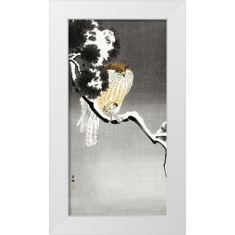 Hawk with sparrow White Modern Wood Framed Art Print by Koson, Ohara