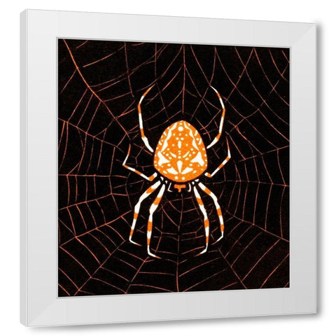 Spider in a webÂ  White Modern Wood Framed Art Print by De Graag, Julie
