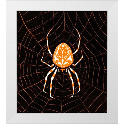 Spider in a webÂ  White Modern Wood Framed Art Print by De Graag, Julie