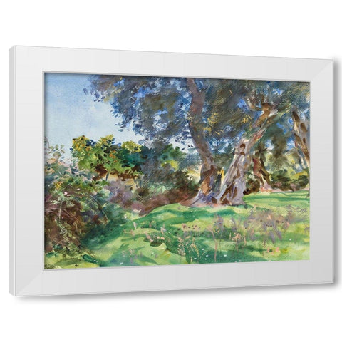 Olive Trees, Corfu White Modern Wood Framed Art Print by Sargent, John Singer