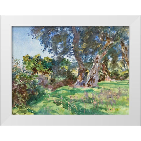 Olive Trees, Corfu White Modern Wood Framed Art Print by Sargent, John Singer