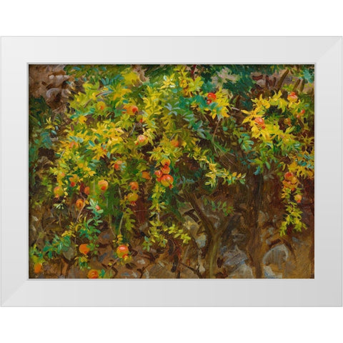 Pomegrantes, Majorca, 1908 White Modern Wood Framed Art Print by Sargent, John Singer