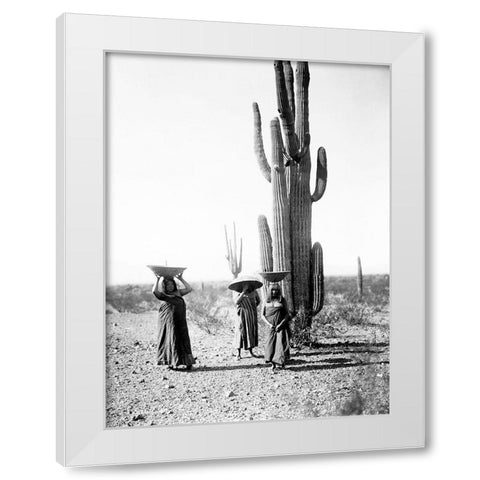 Saguaro gatherers, Maricopa, Arizona, ca. 1907 White Modern Wood Framed Art Print by Curtis, Edward