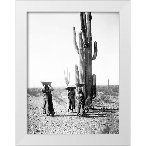 Saguaro gatherers, Maricopa, Arizona, ca. 1907 White Modern Wood Framed Art Print by Curtis, Edward