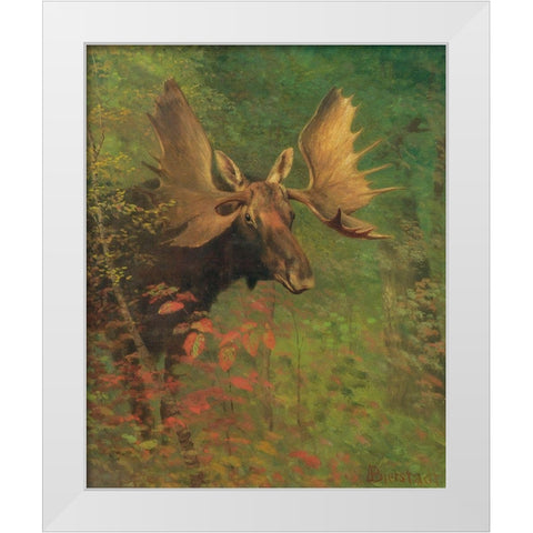 Study of a moose White Modern Wood Framed Art Print by Bierstadt, Albert