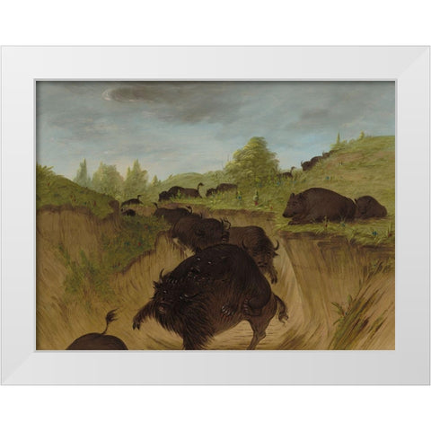 Grizzly Bears Attacking Buffalo White Modern Wood Framed Art Print by Catlin, George