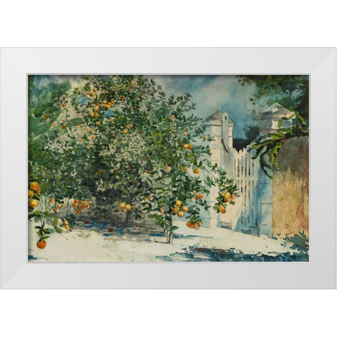 Orange trees and gate White Modern Wood Framed Art Print by Homer, Winslow