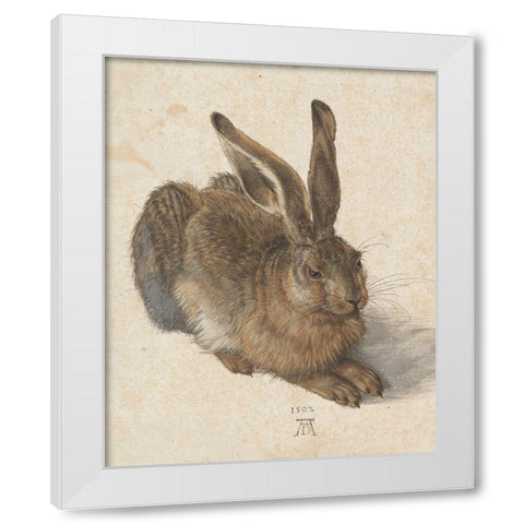 Young Hare White Modern Wood Framed Art Print by Durer, Albrecht