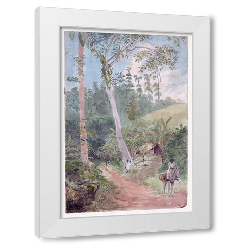 Plantain Walk, Jamaica White Modern Wood Framed Art Print by Berryman, William