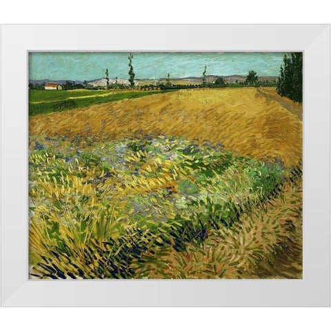 Wheatfield White Modern Wood Framed Art Print by van Gogh, Vincent