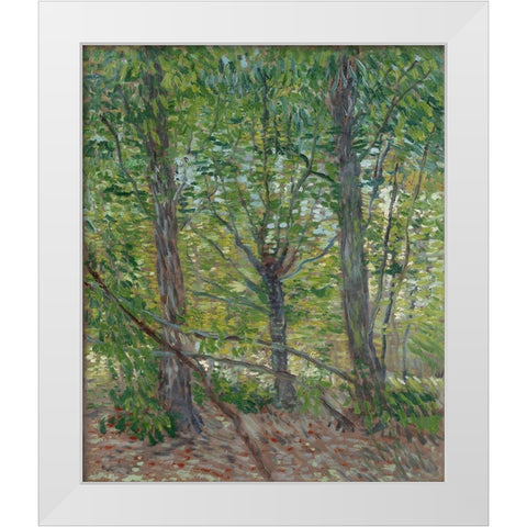 Trees White Modern Wood Framed Art Print by van Gogh, Vincent