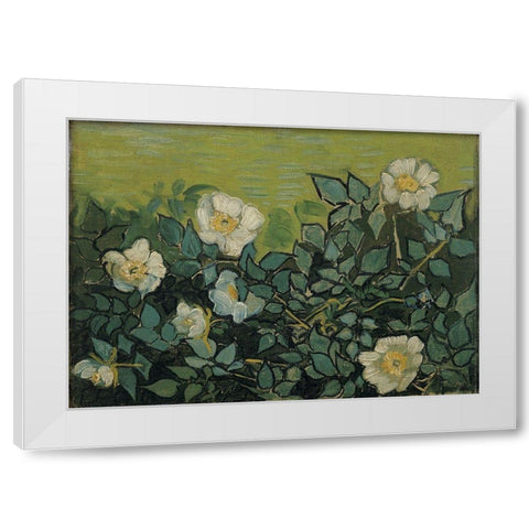 Wild roses White Modern Wood Framed Art Print by van Gogh, Vincent