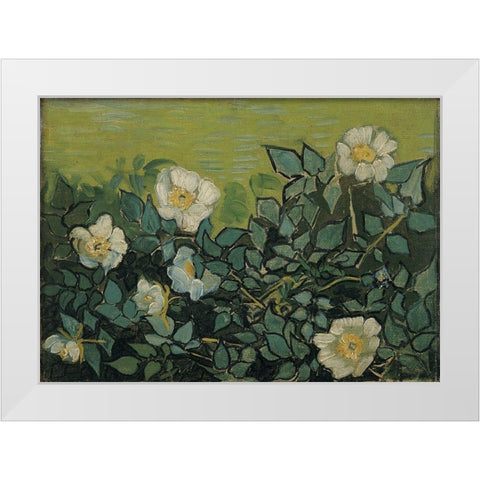 Wild roses White Modern Wood Framed Art Print by van Gogh, Vincent