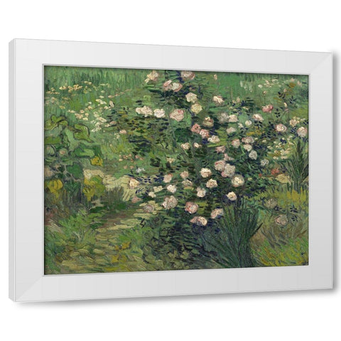 Roses White Modern Wood Framed Art Print by van Gogh, Vincent
