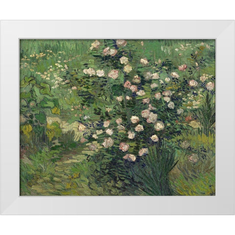 Roses White Modern Wood Framed Art Print by van Gogh, Vincent