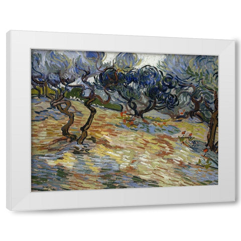 Olive Trees, Bright blue sky White Modern Wood Framed Art Print by van Gogh, Vincent