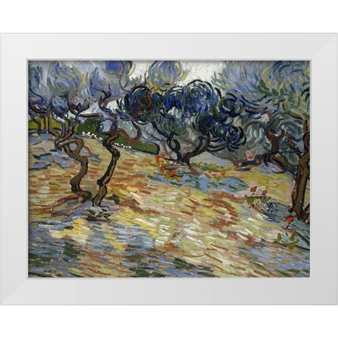 Olive Trees, Bright blue sky White Modern Wood Framed Art Print by van Gogh, Vincent