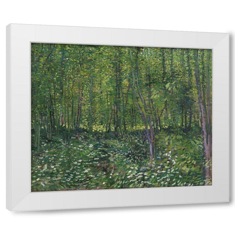 Trees and undergrowth White Modern Wood Framed Art Print by van Gogh, Vincent