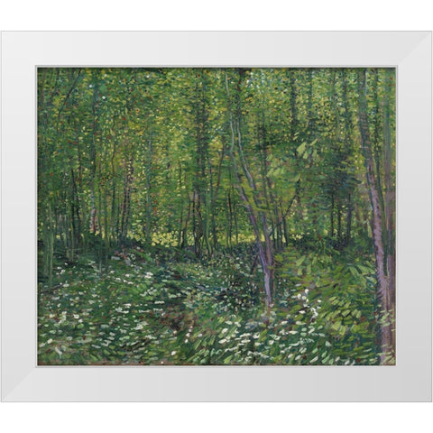 Trees and undergrowth White Modern Wood Framed Art Print by van Gogh, Vincent