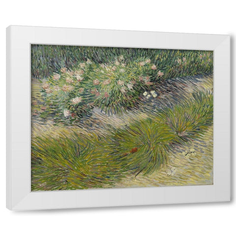 Grass and Butterflies White Modern Wood Framed Art Print by van Gogh, Vincent