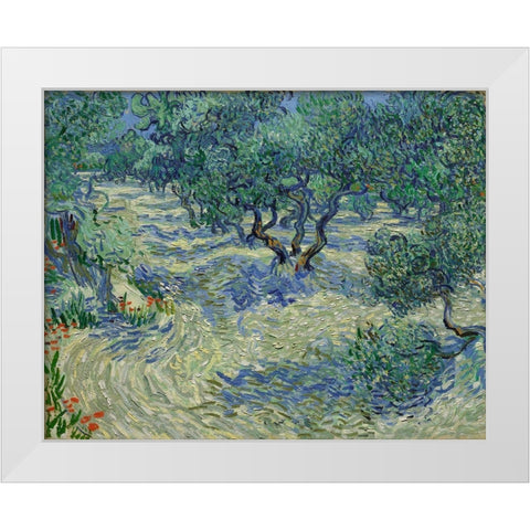 Olive Orchard White Modern Wood Framed Art Print by van Gogh, Vincent