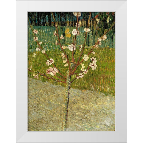 Almond tree in blossom White Modern Wood Framed Art Print by van Gogh, Vincent