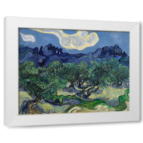 The Olive Trees White Modern Wood Framed Art Print by van Gogh, Vincent