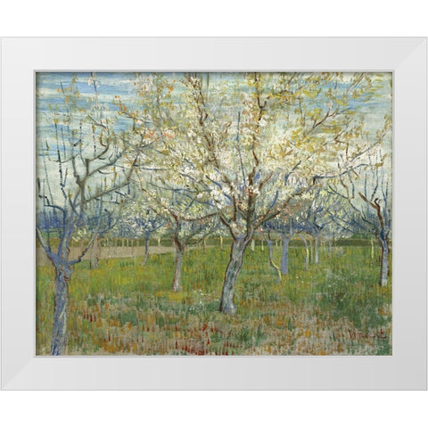 Orchard with Blooming Apricot Trees White Modern Wood Framed Art Print by van Gogh, Vincent