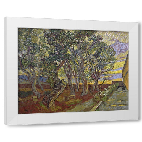 The garden of Saint Pauls Hospital White Modern Wood Framed Art Print by van Gogh, Vincent