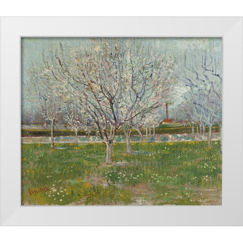 Orchard in Blossom White Modern Wood Framed Art Print by van Gogh, Vincent