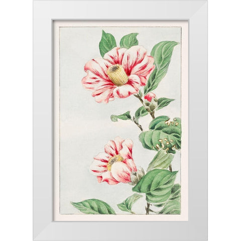 Tsubaki camelia White Modern Wood Framed Art Print by Morikaga, Megata
