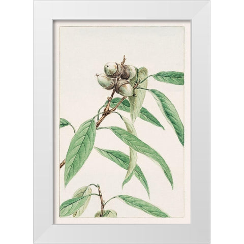 Kashi White Modern Wood Framed Art Print by Morikaga, Megata