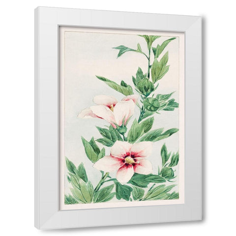 Hibiscus plant White Modern Wood Framed Art Print by Morikaga, Megata